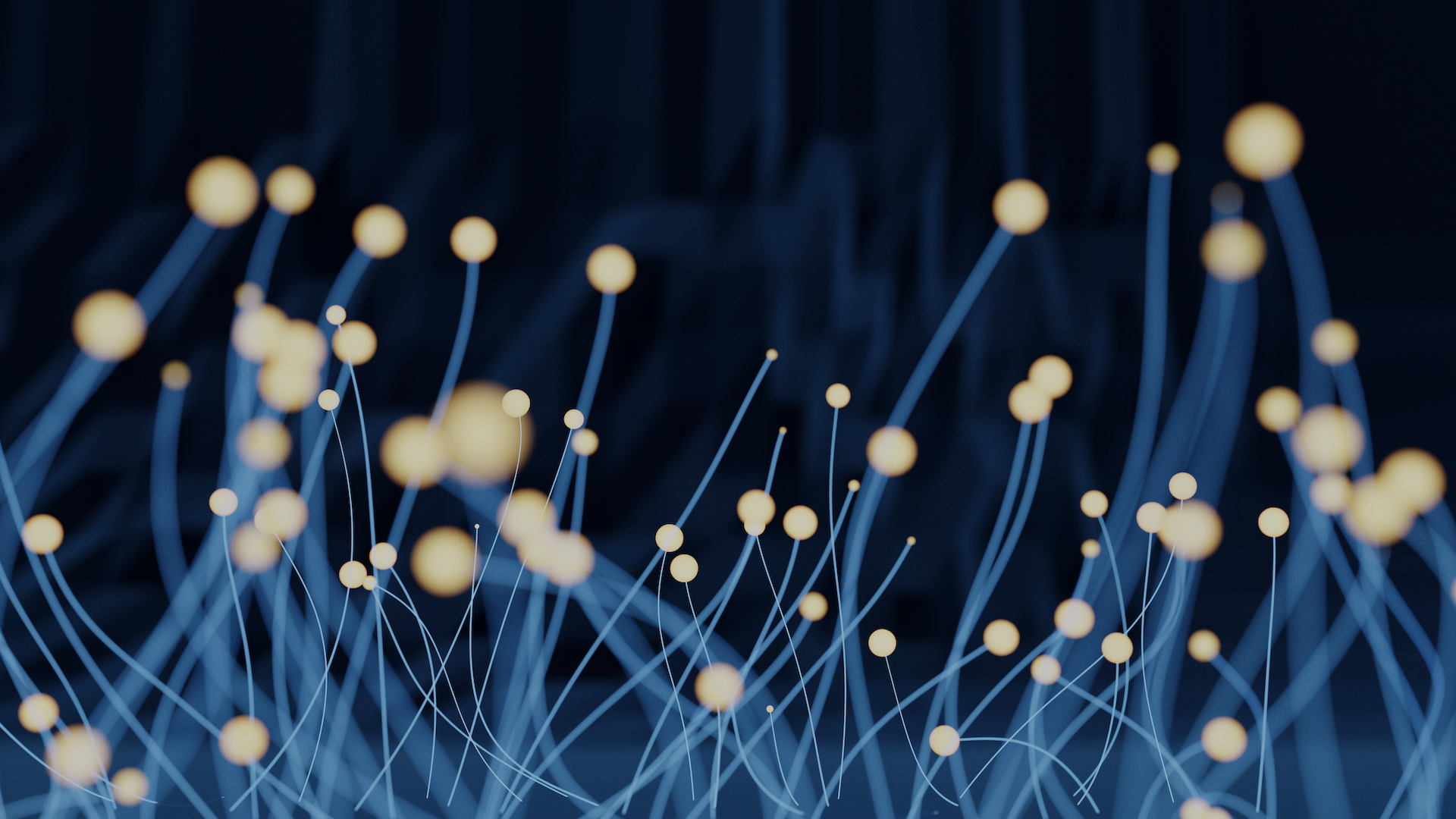 Milken-Motsepe Innovation Prize