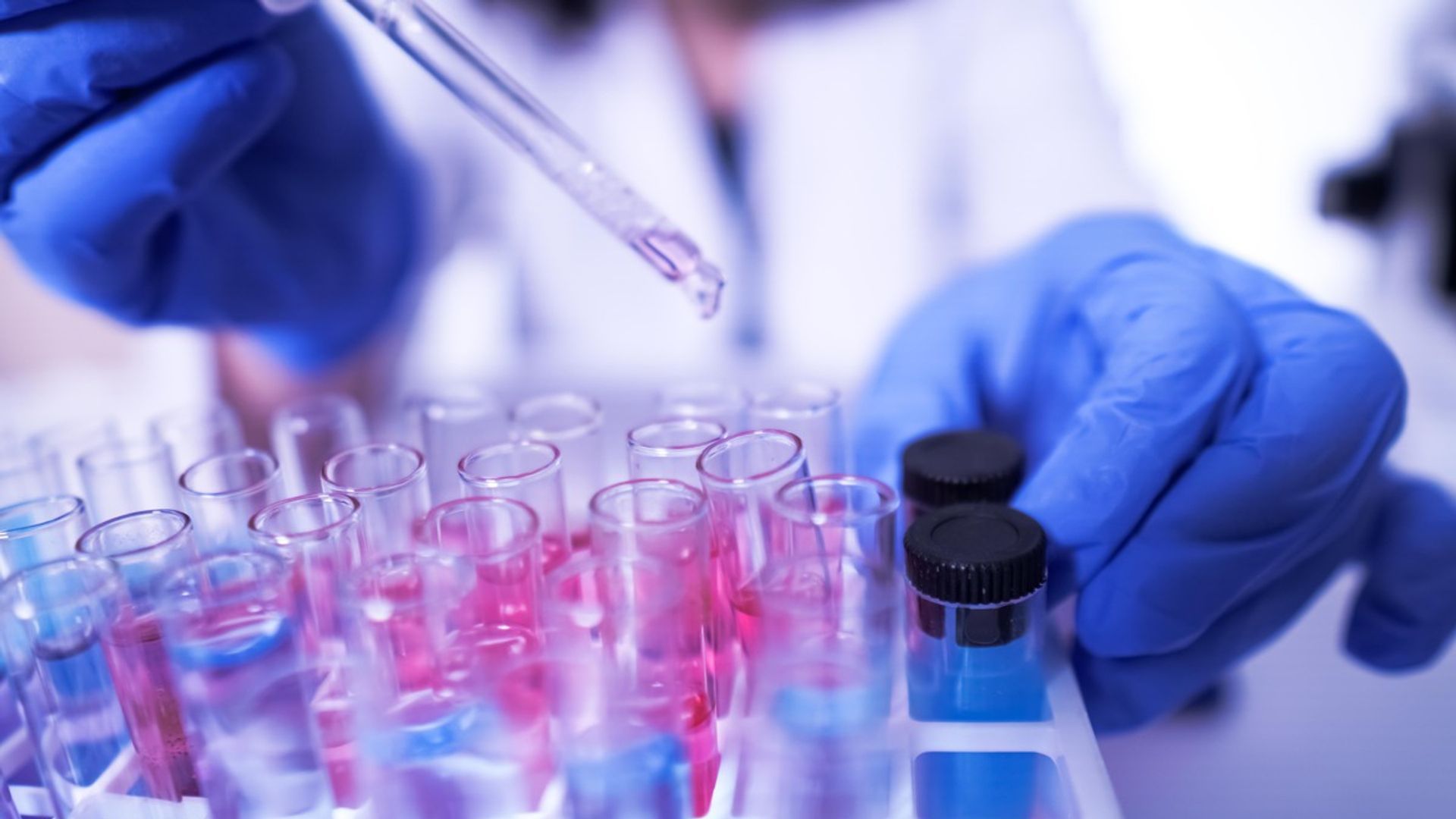 scientist using a dropper to transfer liquid into test tubes