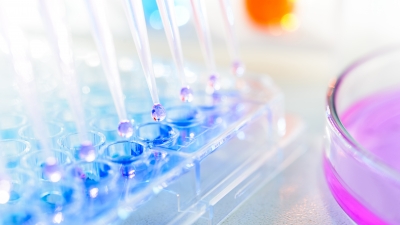 Science Philanthropy Accelerator for Research and Collaboration