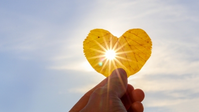 Catalyzing Strategic Philanthropy