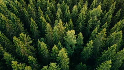 Protecting Environmental Assets