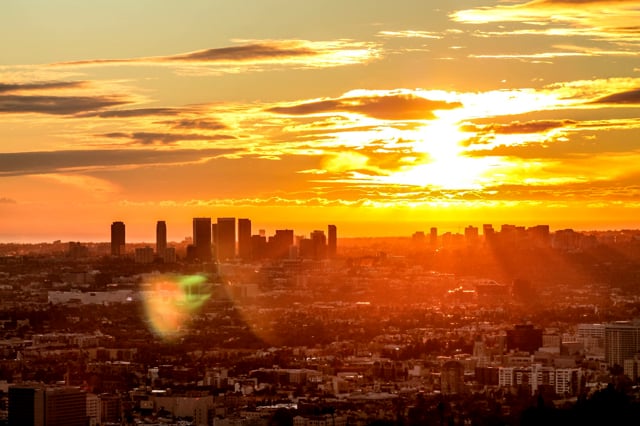 Thinking Forward: A Business Evolution