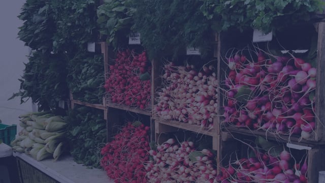 December 8 at 10:30 am EST | Food Is Medicine: Opportunities to Maximize, Expand, and Scale