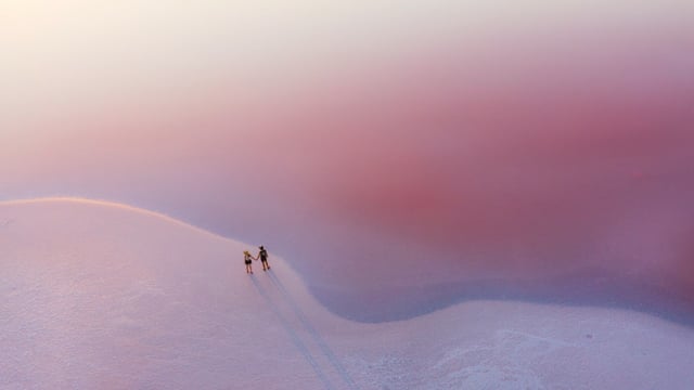 December 8 at 2:00 pm EST | At the Crossroads: Public Health and Climate Change