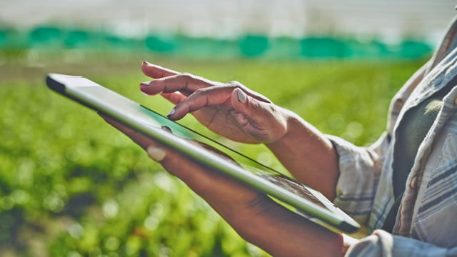 November 17 at 11:15 am UAE Standard Time | The Intersection of Agriculture, Food, and Technology