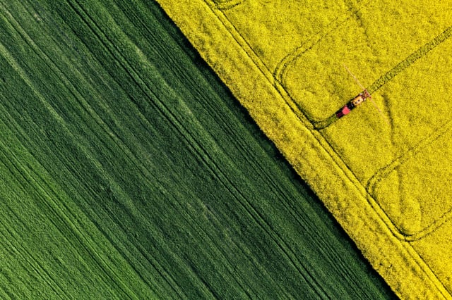 Bridging Our Divides Through Food