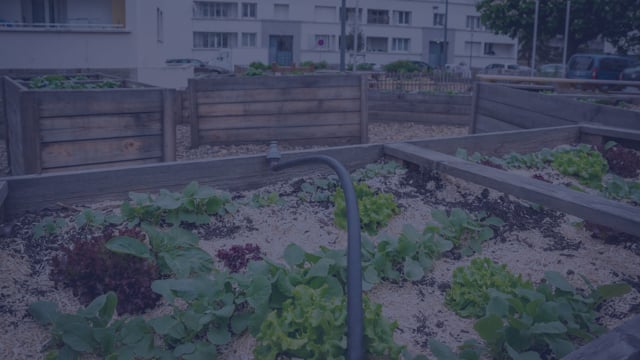 December 7 at 2:00 pm EST | Building Resilient Food Systems: Applying Lessons from Disaster Response