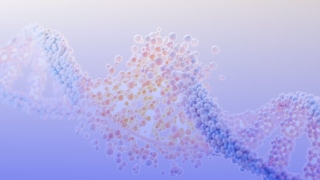 Data Sets That Address All Our Diversity