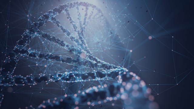 Hacking Aging: The Quest for Longevity