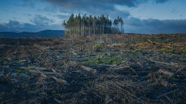 A Conversation with "Extrapolations" Creatives: Perspectives on the Future of Climate
