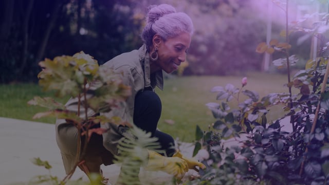 Whole Health: Living An Integrative Lifestyle