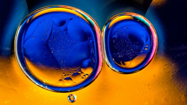 Invest and Innovate: The Future of Biomedical Innovation