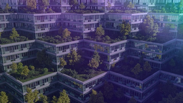 Zeroing In: Investing for a Green Economy