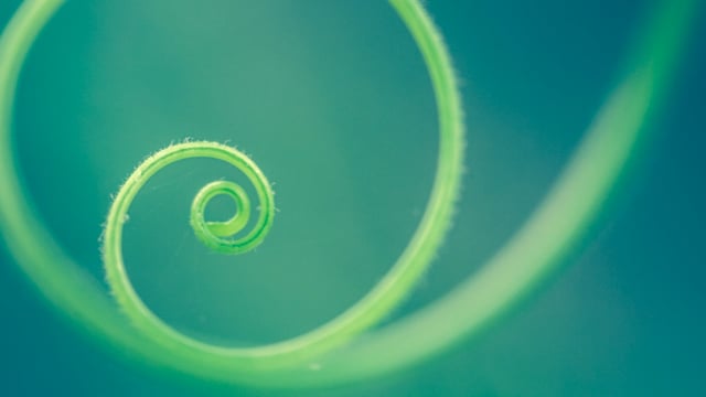 May 4 at 10:00 am PDT | Driving Sustainable Growth: The CMO as Agent of Change