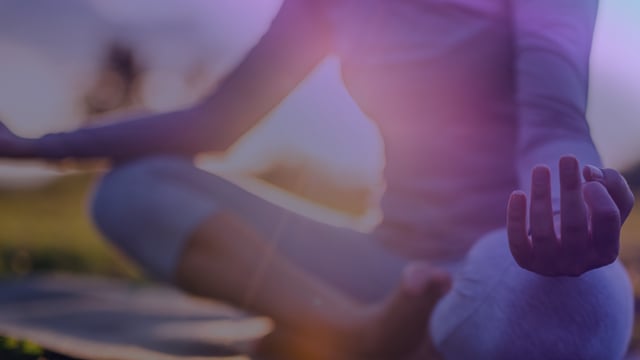 Mindfulness in Action: What the World Needs Now