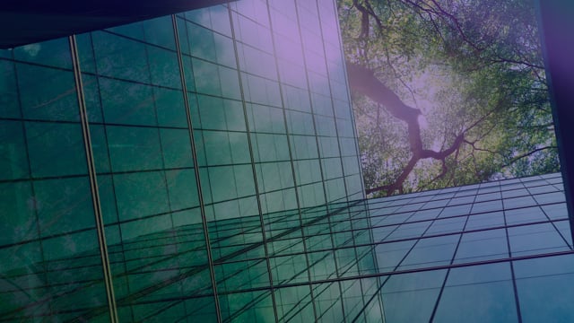 The New Climate Reality: Financing for Adaptation, Resilience, and Recovery