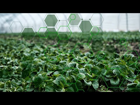 Emerging Zoonotic Diseases and Planetary Health: Stopping the Next Pandemic Before It Starts