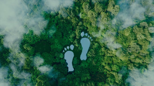 A View from the Top: Leaders on Energy, the Environment, and Combating Climate Change