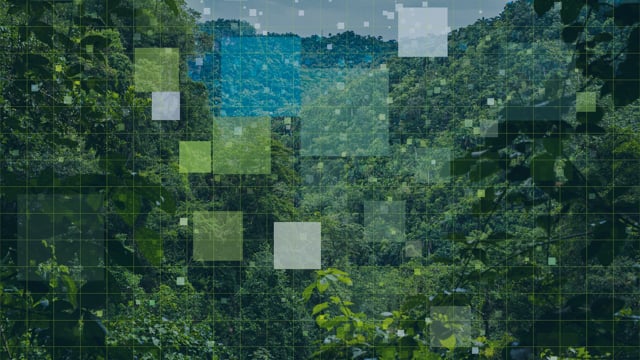 Financing a Green Future