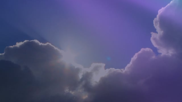 Every Cloud Has a Silver Lining: Venture Capitalists Bring to Bear