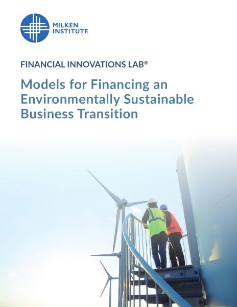 Models for Financing an Environmentally Sustainable Business Transition