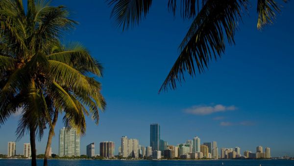 Milken Institute Expands Presence into South Florida