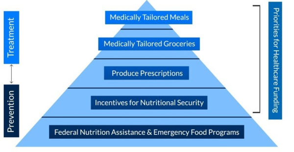 pyramid for food is medicine