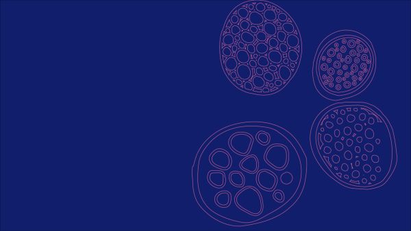 Researchers Invited to Apply for Funding for Basic Science in Sarcoidosis