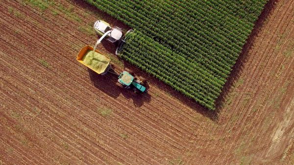 Milken Institute Outlines Major Efforts to Ensure Food Access during Pandemic