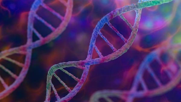 Genes, Galaxies, and Groundbreaking Discoveries: Engineering New Advances in Modern Science