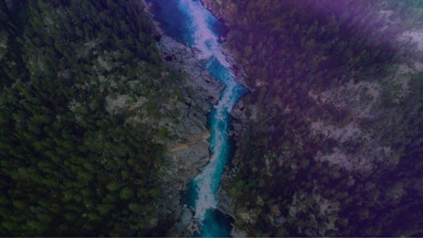 Rewriting the Rules of Global Conservation
