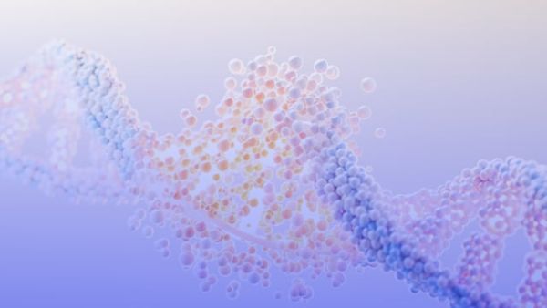 Data Sets That Address All Our Diversity