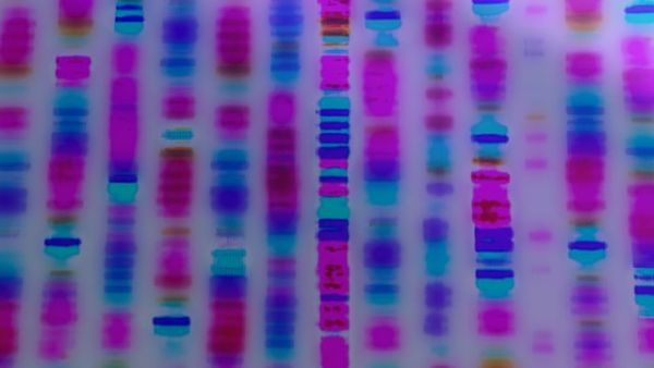 The Cancer Diagnostics Revolution