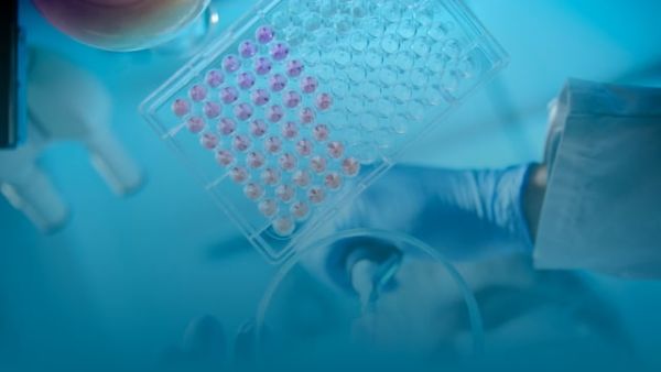 Future Pathways to Enable Open Science and Increase Research Transparency and Collaboration