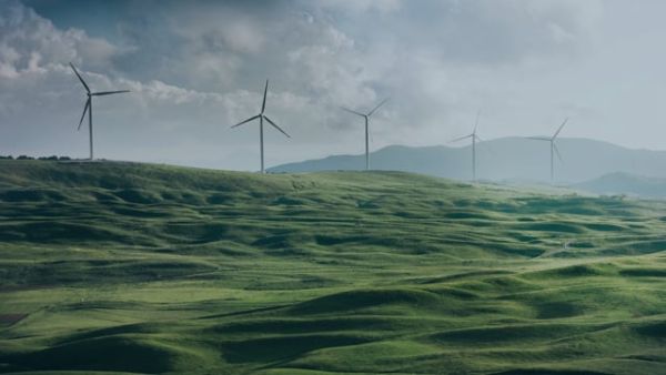 The Race for Global Green Energy