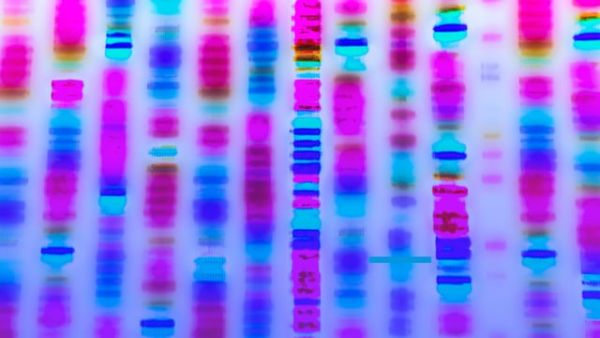 Catalysts of Change: Philanthropy, Advocacy, and Innovation in Rare Disease Research