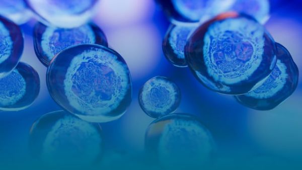 New Innovations in Cancer Therapy: Where Are We Heading?