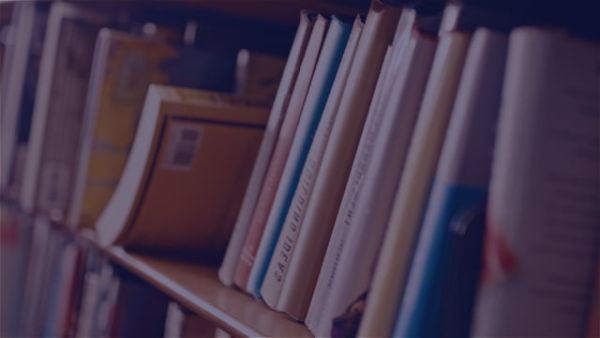 Degree or Not Degree: The Higher Education Dilemma