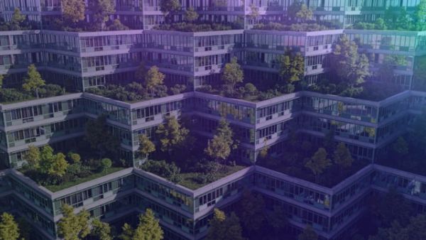Zeroing In: Investing for a Green Economy