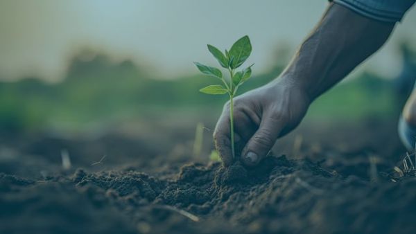 FoodRx Innovations: Financing, Technology, and Stakeholder Relationships