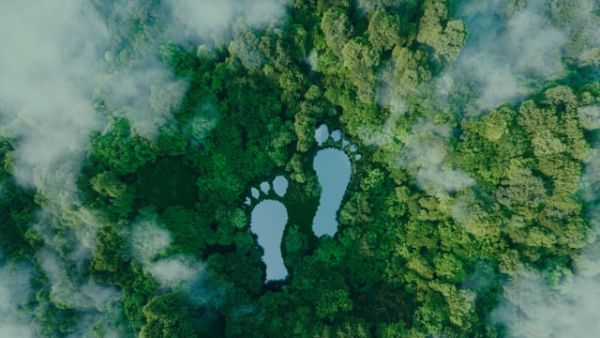 A View from the Top: Leaders on the Roles and Goals of Corporate Boards in 2023