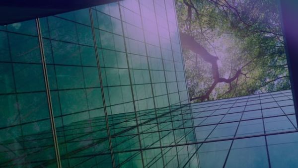 The New Climate Reality: Financing for Adaptation, Resilience, and Recovery