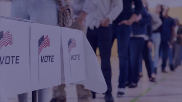 2024 US Election Insights