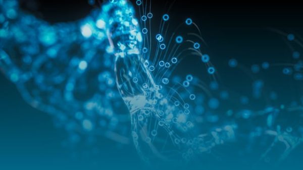 The Next Century of Health: Predictions on the Future of Health Care