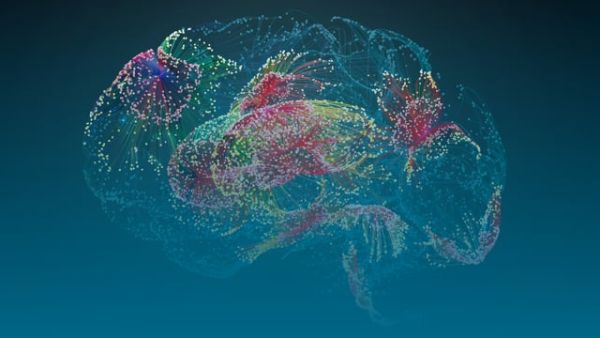 Federal Brain Boost: Advancements and Next Steps in Dementia Care