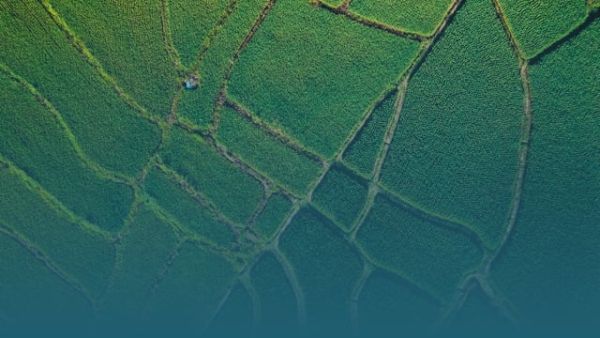 Investing in Food Systems to Address Climate Change