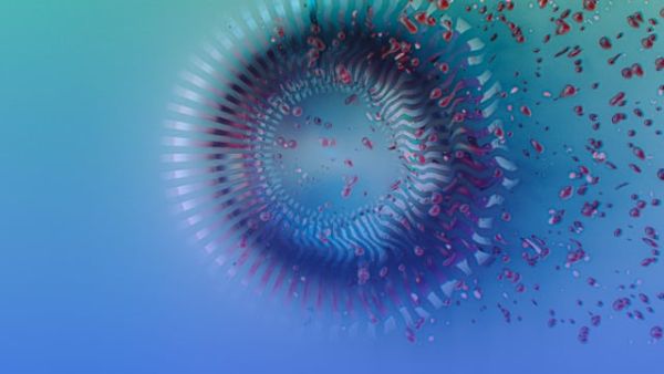 Innovation for All: Strategies for Maximizing Impact