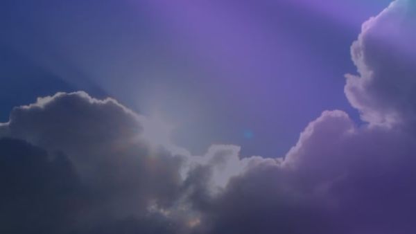 Every Cloud Has a Silver Lining: Venture Capitalists Bring to Bear
