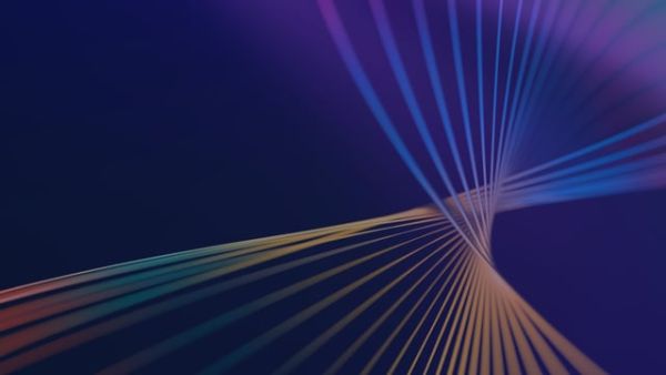 Thriving in Disruption: What is the Investment Opportunity Set?