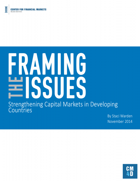 Framing the Issues: Strengthening Capital Markets in Developing Countries